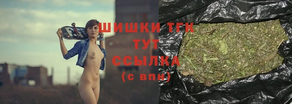 амф Арсеньев