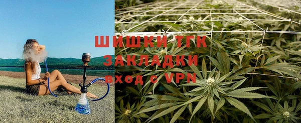 амф Арсеньев