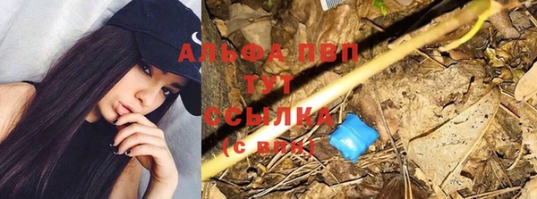 мяу мяу мука Армянск