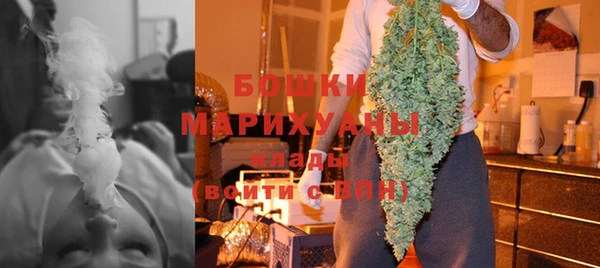 амф Арсеньев