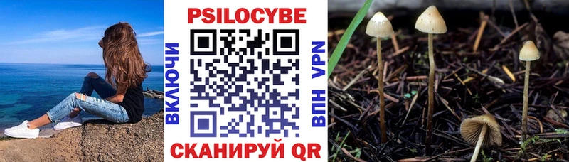 Псилоцибиновые грибы Cubensis  Липки 